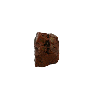 Raw Petrified Wood Fossils