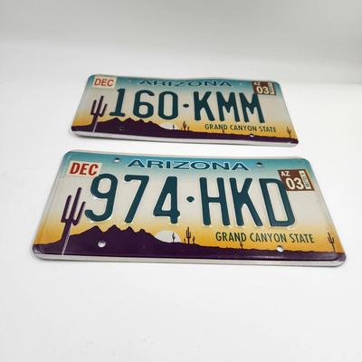 SET OF 2 ARIZONA LICENSE PLATES