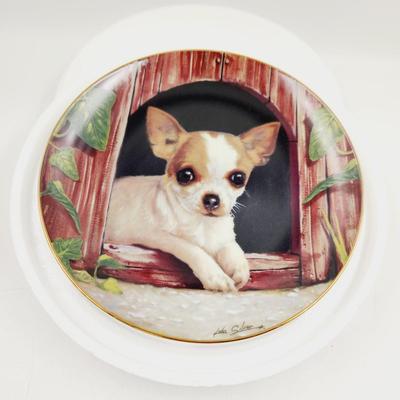 THE DANBURY MINT - CHIHUAHUA - "IN THE DOG HOUSE" COLLECTABLE PLATE