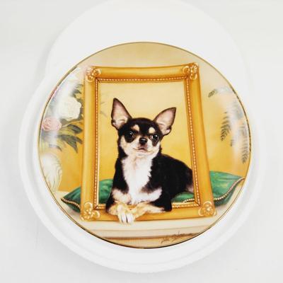 THE DANBURY MINT - CHIHUAHUA - "PRETTY AS A PICTURE" COLLECTABLE PLATE