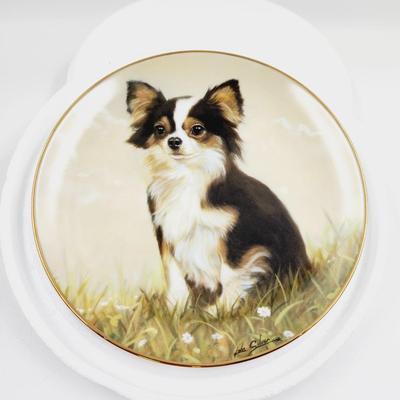 THE DANBURY MINT - CHIHUAHUA - "PEACEFUL MOMENT" COLLECTABLE PLATE