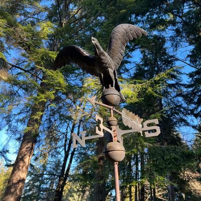 Vintage Raven Crow Metal Weathervane