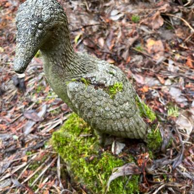 Cement Bird Statue for Yard and Garden