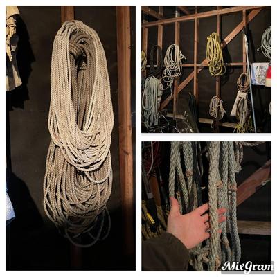 Lot of Assorted Ropes