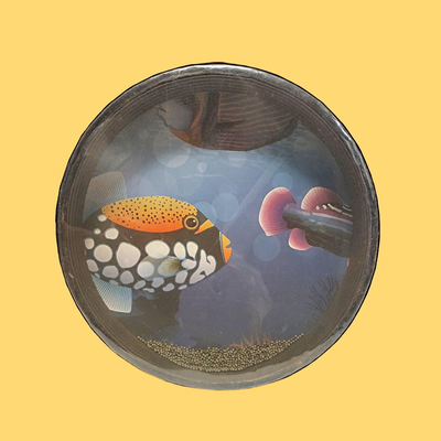 Ocean Drum