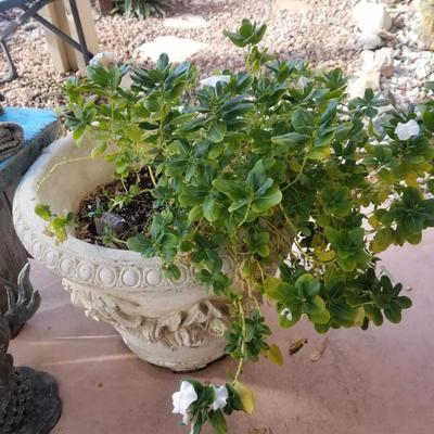 vintage large concrete flower pot