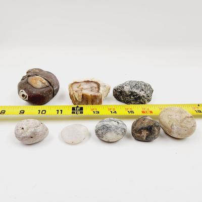 BUNDLE OF A VARIETY OF COLLECTABLE ROCKS