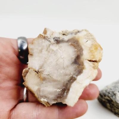 BUNDLE OF A VARIETY OF COLLECTABLE ROCKS