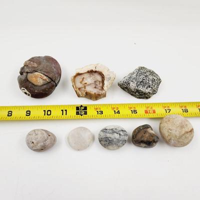 BUNDLE OF A VARIETY OF COLLECTABLE ROCKS