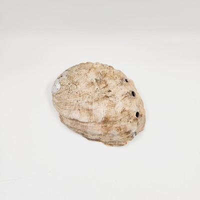 BUNDLE OF A VARIETY OF COLLECTABLE ROCKS