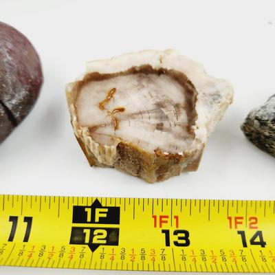 BUNDLE OF A VARIETY OF COLLECTABLE ROCKS