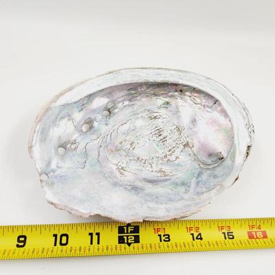 LARGE MOTHER OF PEARL ABALONE SHELL