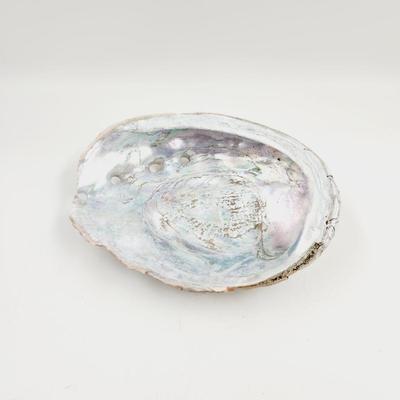 LARGE MOTHER OF PEARL ABALONE SHELL