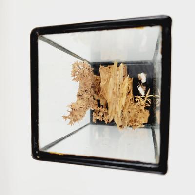 VINTAGE MINATURE CHINESE CORK DIORAMA ENCASED