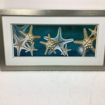 1075 Starfish Framed Print