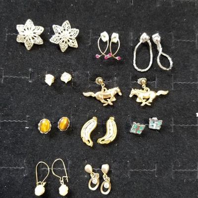 Earring Variety