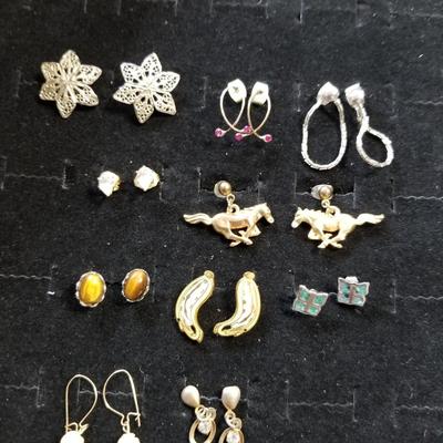 Earring Variety