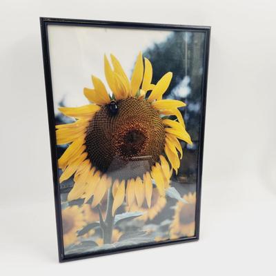 FUN FRAMED SUNFLOWER & HONEY BEE FRAMED PHOTOGRAPH