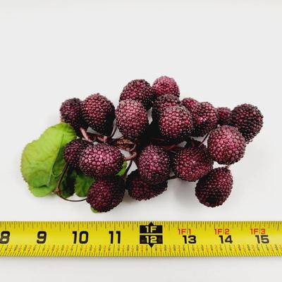 BUNCH OF DECORATIVE PLASTIC GRAPES
