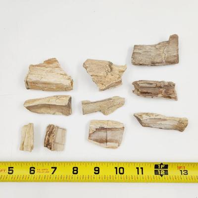 BUNDLE OF PETRIFIED WOOD PIECES