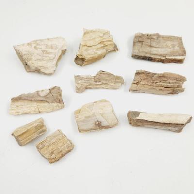 BUNDLE OF PETRIFIED WOOD PIECES