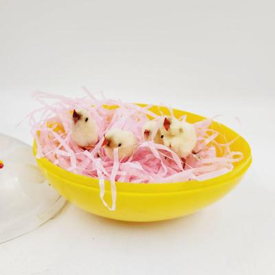 VINTAGE PAINTED EGGS W/ CUTE CHICKS