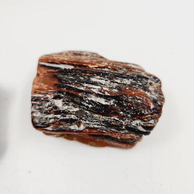 2 CHUNKS OF PETRIFIED WOOD