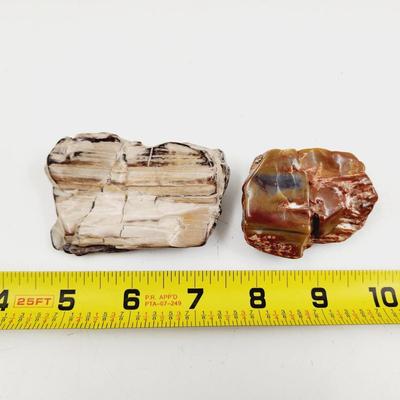 2 CHUNKS OF PETRIFIED WOOD