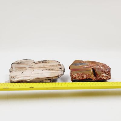 2 CHUNKS OF PETRIFIED WOOD