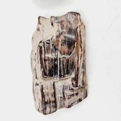 2 CHUNKS OF PETRIFIED WOOD