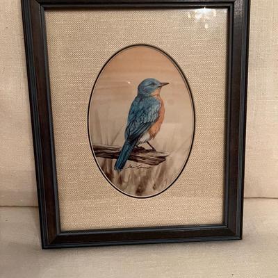 Framed & Matted Wildlife Graphics Bluebird Print