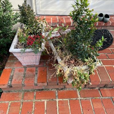 2 rectangular flower pots
