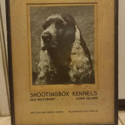 Vintage poster ad for Long Island Kennel w/ great Spaniel photo