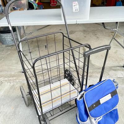 LOT 57  ROLLING SHOPPING CARD & ROLLING FOOD PICNIC BAG