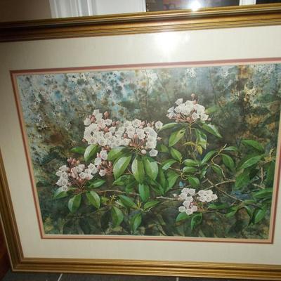Mountain laurel Picture by Jim Gray
