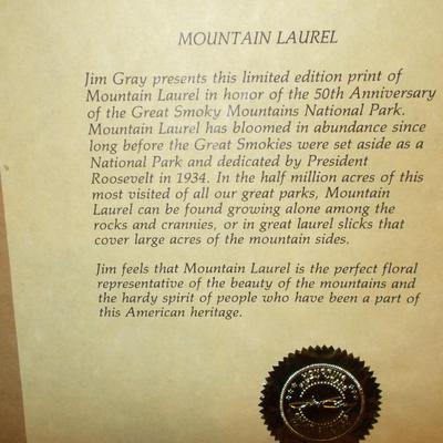 Mountain laurel Picture by Jim Gray