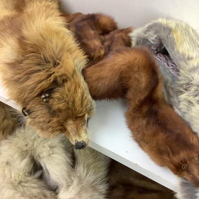 1284 Assorted Vintage Fur Lot Rabbit Fox Mink