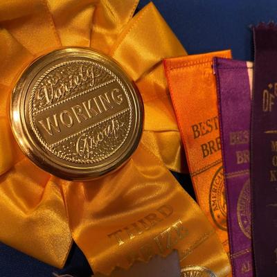 1950â€™S VINTAGE DOG SHOW RIBBONS
