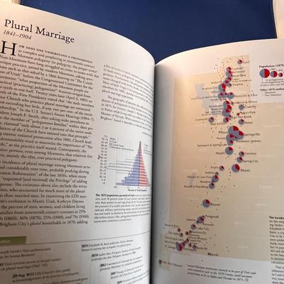 FABULOUS MAPPING MORMONISM BOOK