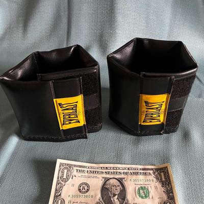 EVERLAST 2 LBS. WORKOUT WEIGHTS PAIR