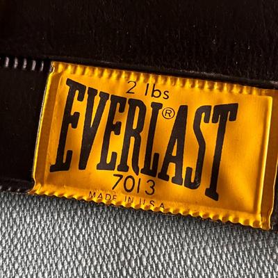 EVERLAST 2 LBS. WORKOUT WEIGHTS PAIR