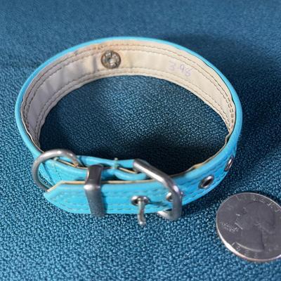 PET DOG OR CAT COLLAR