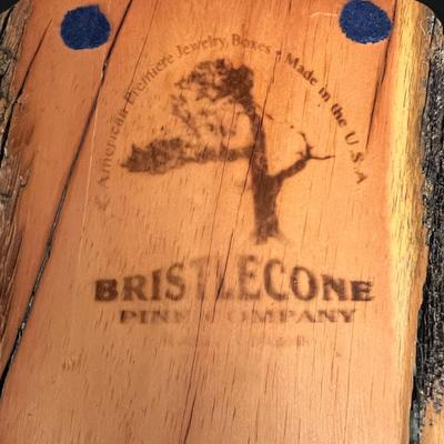Beautiful Bristlecone Pine Company American Premiere Jewelry Box