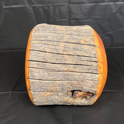 Beautiful Bristlecone Pine Company American Premiere Jewelry Box