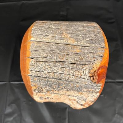 Beautiful Bristlecone Pine Company American Premiere Jewelry Box