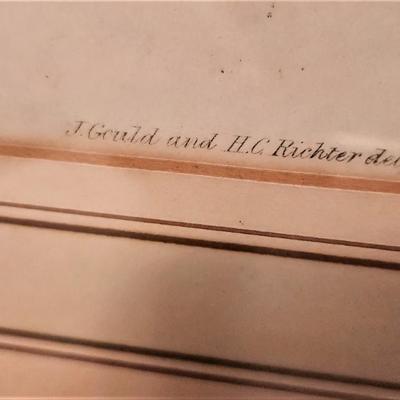 Lot #51  Antique J. Gould Bird Lithograph - pre 1850