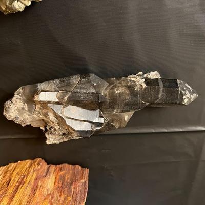Lot of 11 Crystal Specimens incl. Amethyst Petrified Wood Quartz and More!
