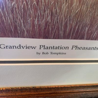 Grandview Plantation Pheasants by Bob Thompkins Signed / Numbered / Matted / Framed