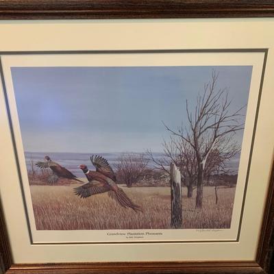 Grandview Plantation Pheasants by Bob Thompkins Signed / Numbered / Matted / Framed
