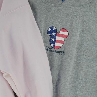 Disneyland Hoodies M